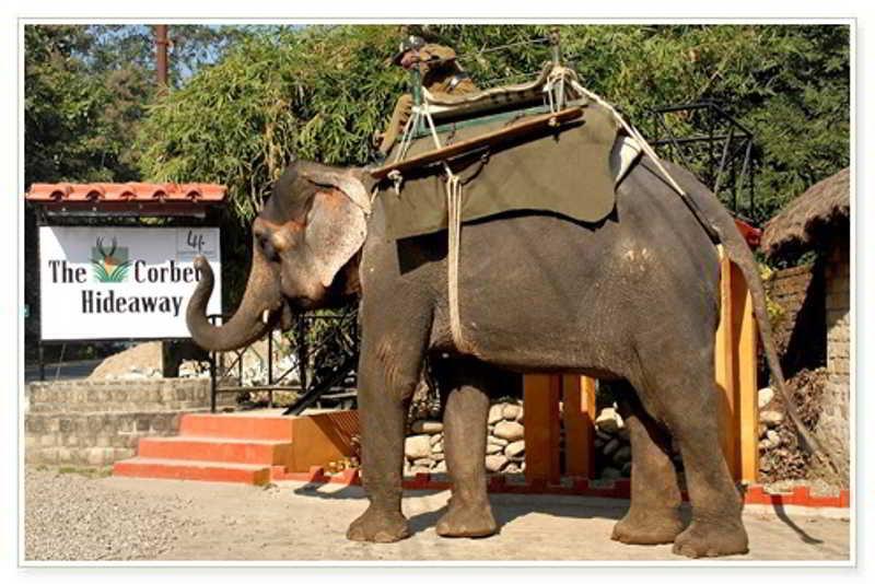 Taj Corbett Resort And Spa Uttarakhand Rāmnagar Eksteriør billede